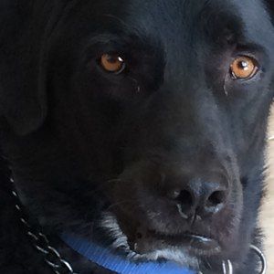 Meet your Posher, Candace